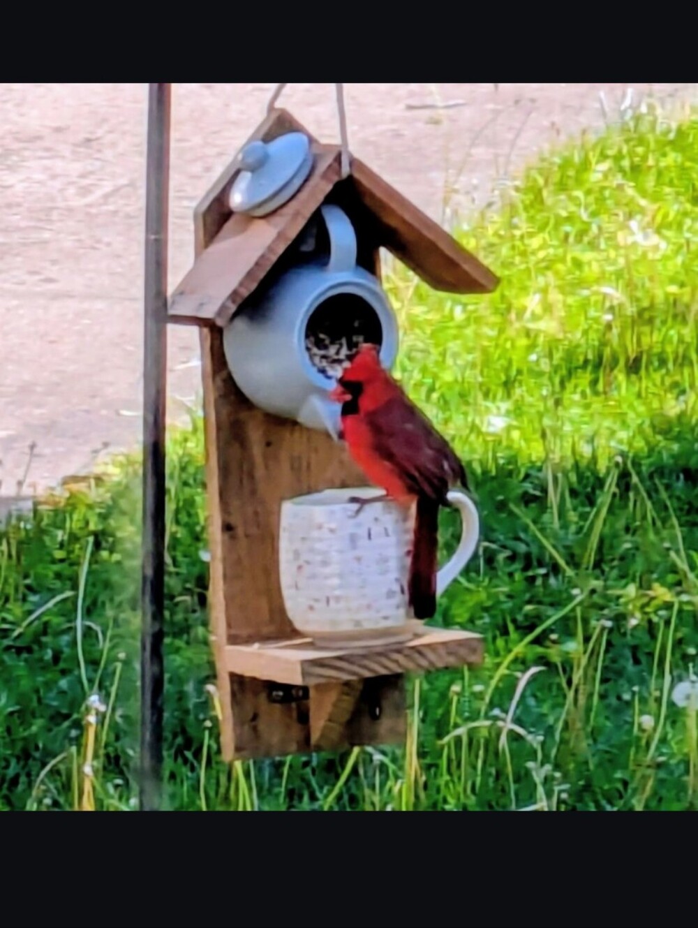 Rustic Wooden Handmade Bird Feeder "Down The Rabbits Hole" - Picture 12 of 16